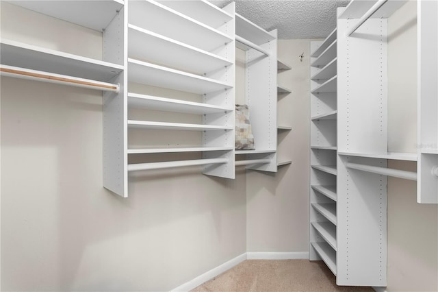 walk in closet featuring carpet flooring