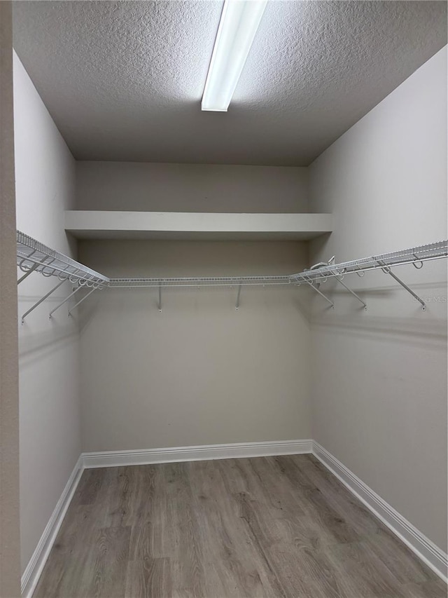 spacious closet with hardwood / wood-style floors