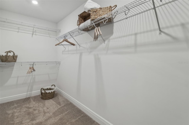 spacious closet with carpet flooring