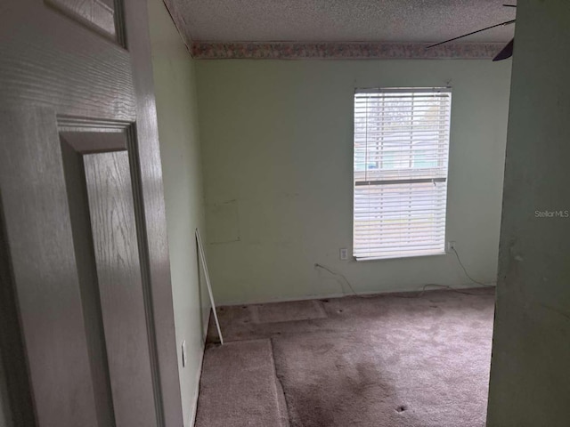 carpeted spare room with plenty of natural light and a textured ceiling