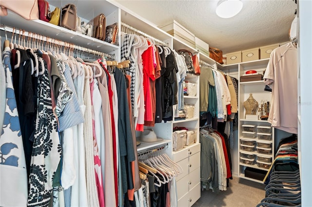 walk in closet with light carpet