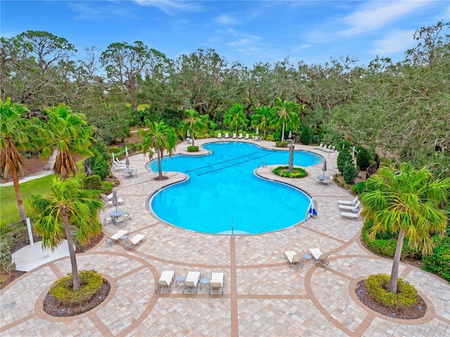 view of swimming pool featuring a patio area