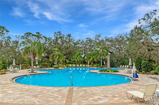 view of pool with a patio area