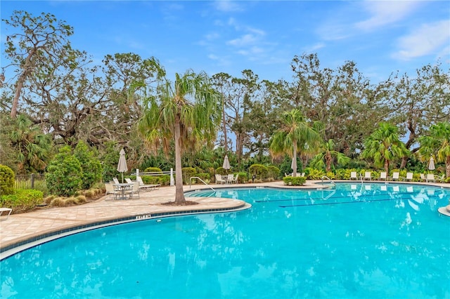 view of pool with a patio area