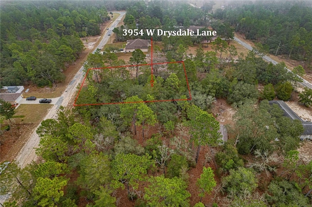 3954 W Drysdale Ln, Citrus Springs FL, 34433 land for sale