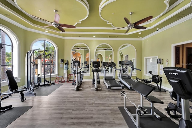 workout area with a raised ceiling, ornamental molding, ceiling fan, and light hardwood / wood-style flooring