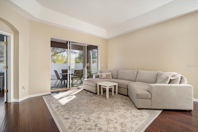 living room featuring a tray ceiling and hardwood / wood-style floors