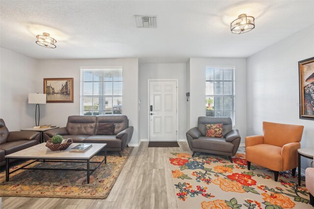 living room featuring light hardwood / wood-style flooring