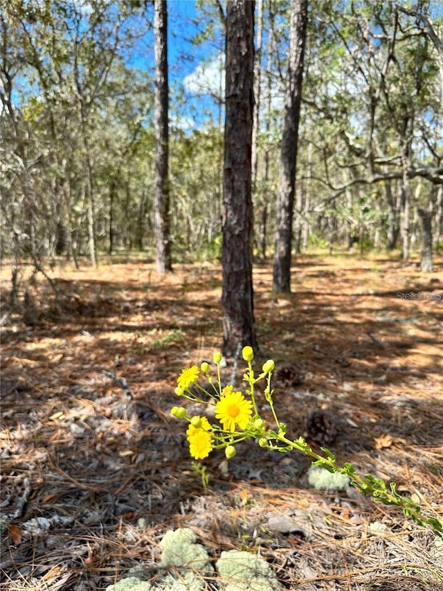 10 Apple Ct, Homosassa FL, 34446 land for sale