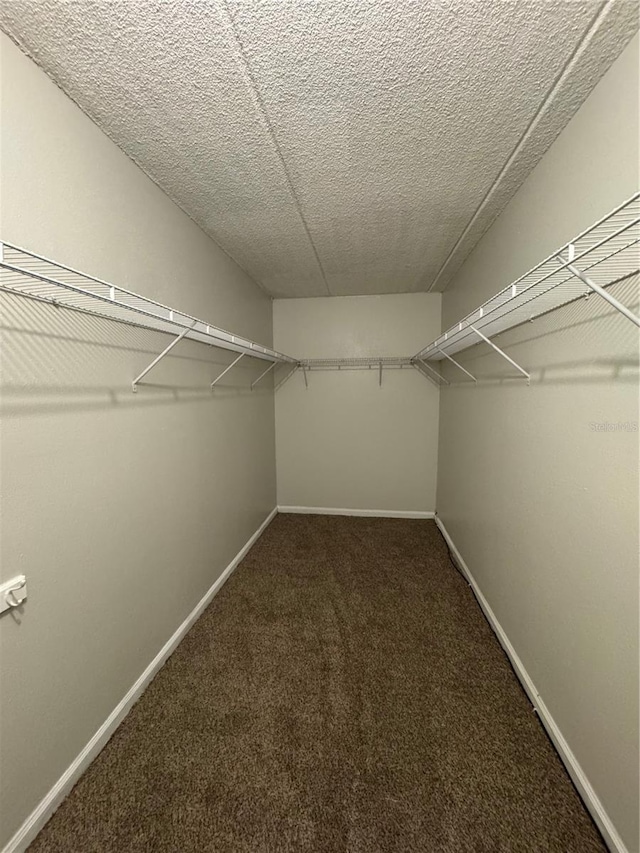 walk in closet with carpet