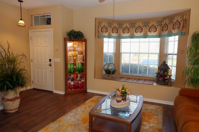 interior space featuring dark hardwood / wood-style flooring