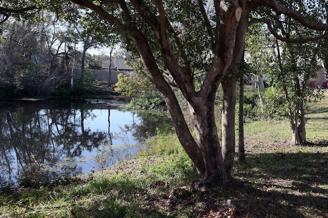 view of water feature