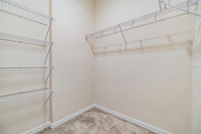 walk in closet featuring carpet floors