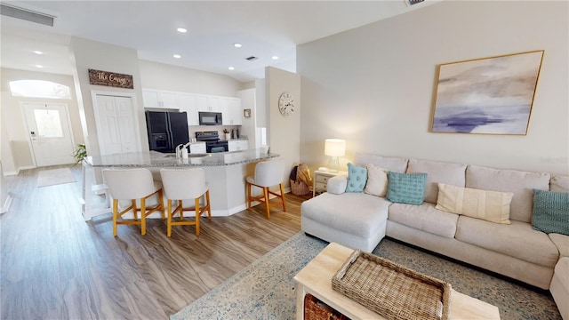 living room featuring sink and light hardwood / wood-style flooring