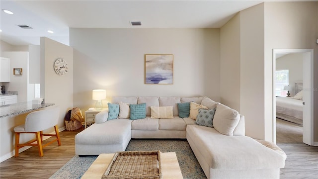 living room featuring hardwood / wood-style floors