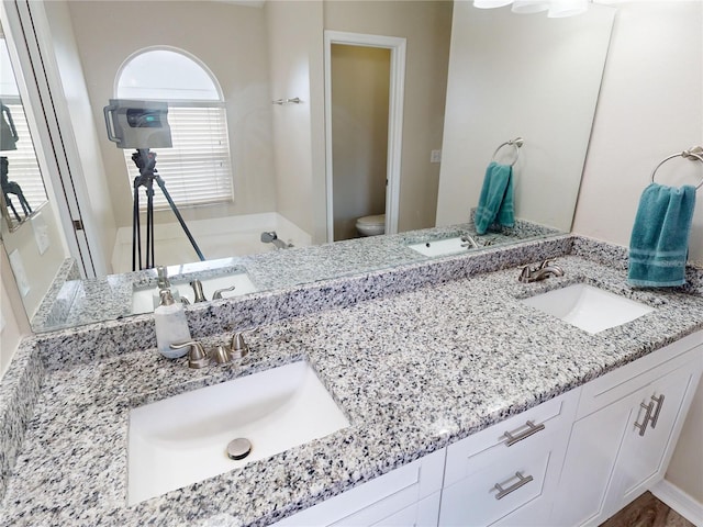 bathroom with vanity and toilet