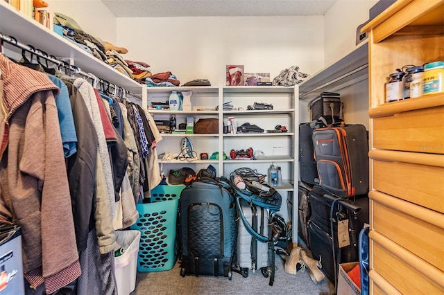 spacious closet featuring carpet