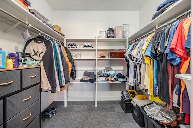 spacious closet featuring dark colored carpet