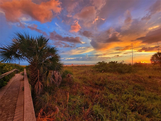 view of nature at dusk