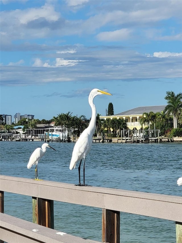 water view