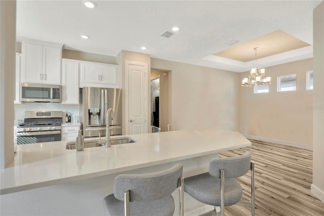 kitchen with sink, light hardwood / wood-style flooring, white cabinetry, stainless steel appliances, and a tray ceiling