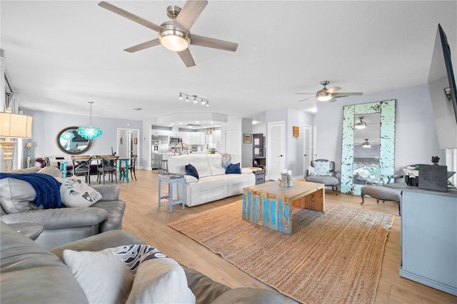 living room featuring ceiling fan and light hardwood / wood-style flooring