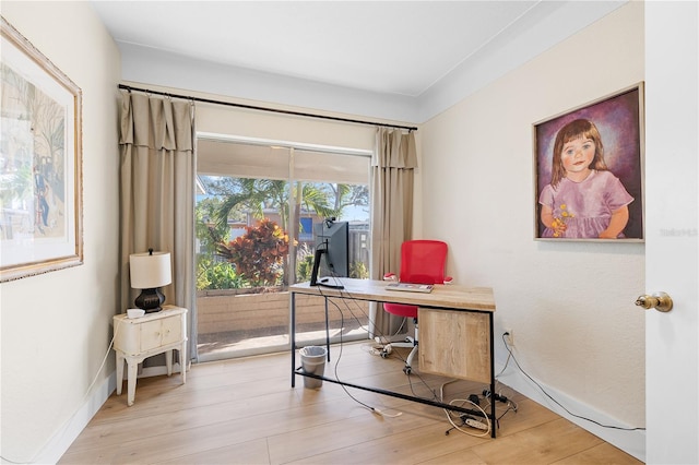 office featuring light hardwood / wood-style floors