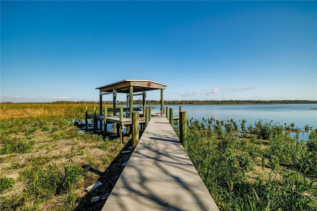 dock area with a water view