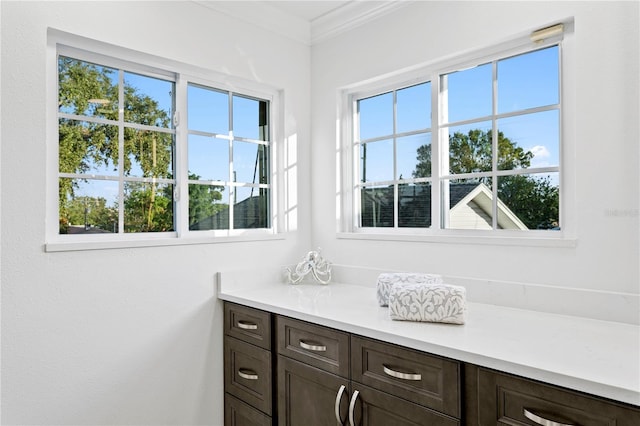 interior space featuring ornamental molding, a healthy amount of sunlight, and vanity