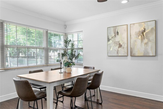 156 29th Ave N, Saint Petersburg, FL 33704 - photo 9