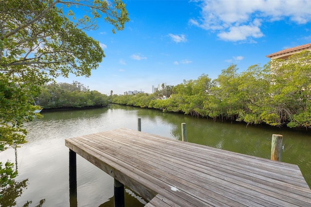 view of dock featuring a water view