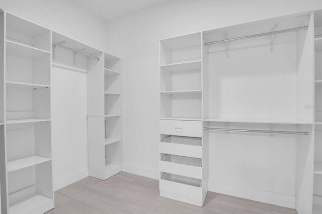 walk in closet with light hardwood / wood-style flooring