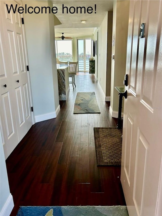 hallway featuring dark wood-type flooring