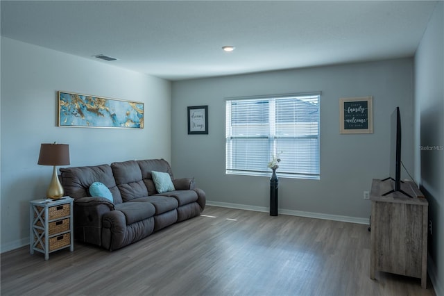 living room featuring hardwood / wood-style flooring