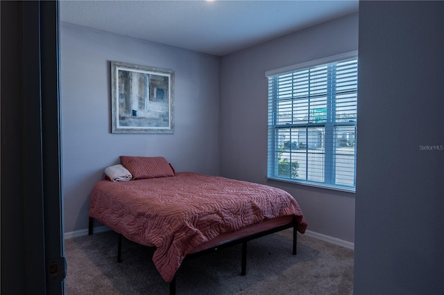 bedroom featuring multiple windows and carpet