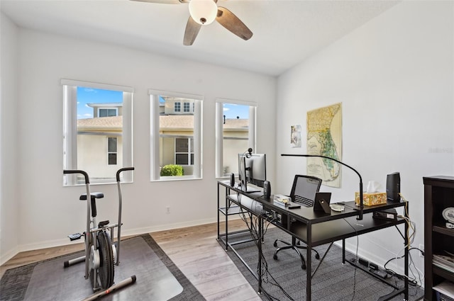 office featuring ceiling fan and light hardwood / wood-style flooring