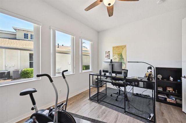 office space with light hardwood / wood-style floors and ceiling fan