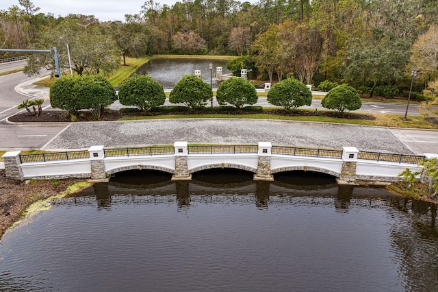 bird's eye view with a water view