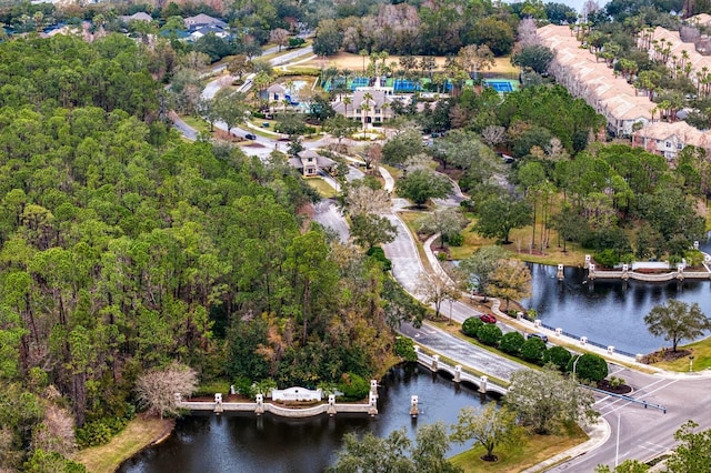 bird's eye view with a water view