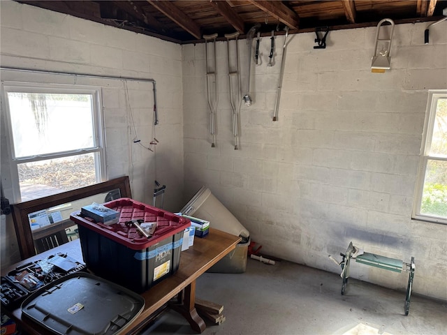 basement with a wealth of natural light and concrete block wall