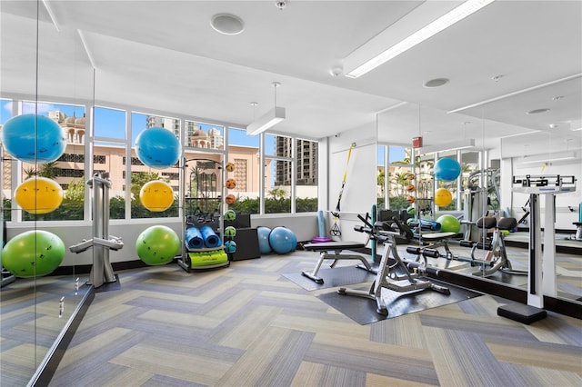 workout area featuring carpet floors