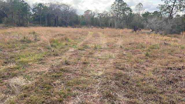 Listing photo 3 for Kelly Ridge Rd, Frostproof FL 33843