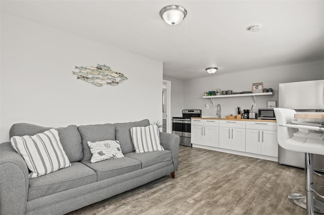 8820 Rocky Creek Dr, Tampa, FL 33615 - living room featuring sink and light wood-type flooring