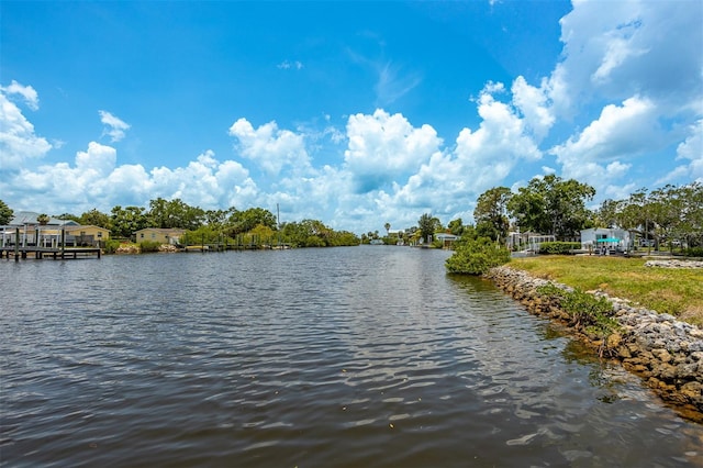 8820 Rocky Creek Dr, Tampa, FL 33615 - water view