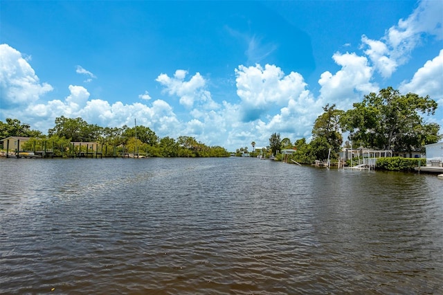 8820 Rocky Creek Dr, Tampa, FL 33615 - water view