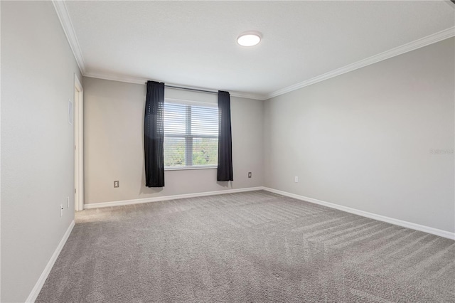 unfurnished room featuring carpet floors and ornamental molding