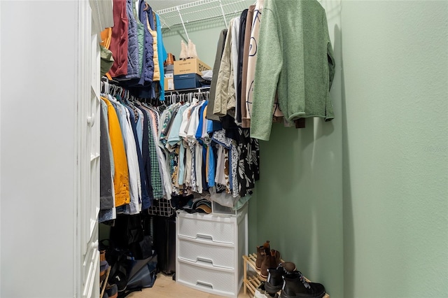 view of spacious closet