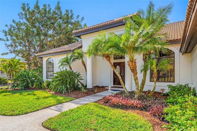 view of exterior entry with a yard