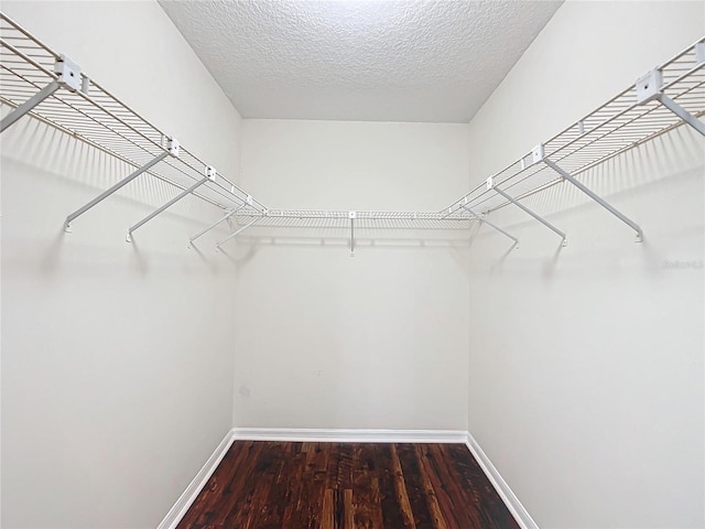 spacious closet featuring wood finished floors