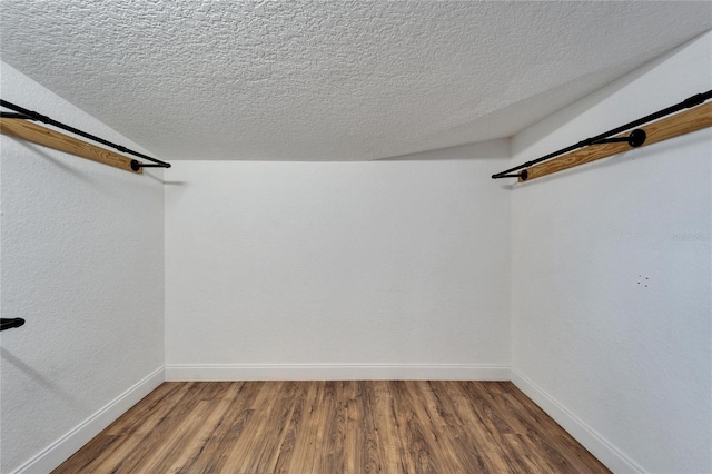 spacious closet featuring wood-type flooring and a barn door